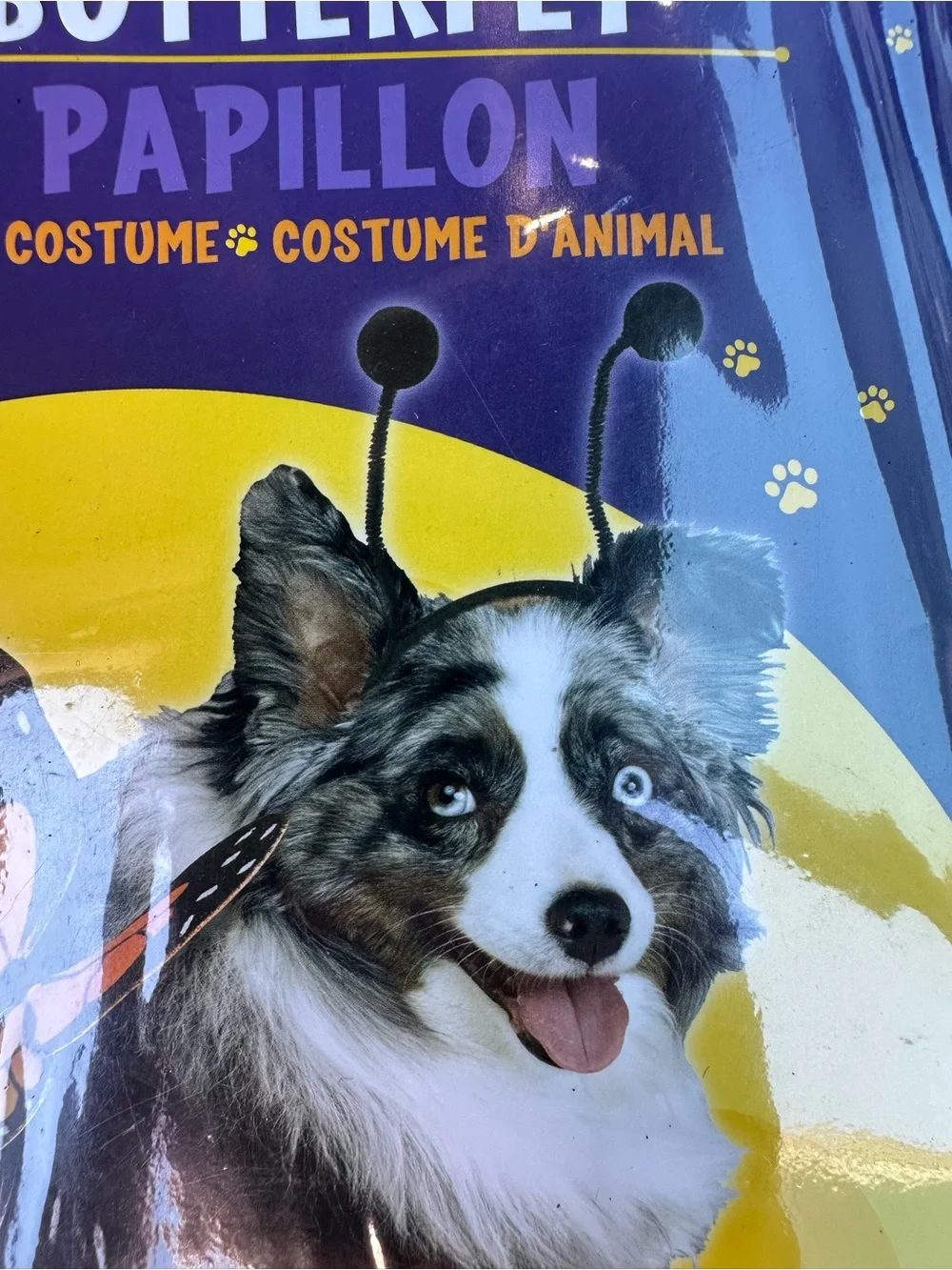 Paw Prints Fun World Butterfly Pet Costume Monarch Wings Headband Size Small